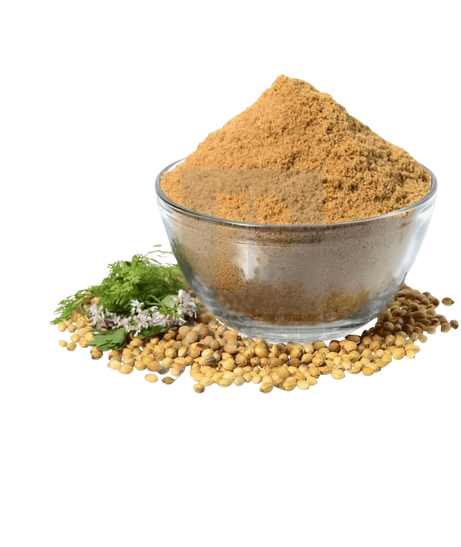 seasoning-1174451263_46cd7e36-610b-4daf-9acc-b4ed4c330d77 كزبرة مطحون seasoning-بهارات كزبرة مطحون