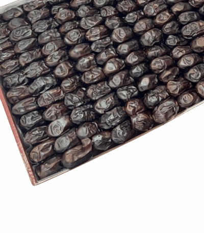 تمر خينزي ليوا التمر تمر خينزي ليوا