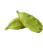 American Green Cardamom #3 | American Green Cardamom #3