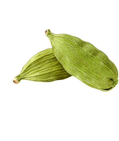 American Green Cardamom #3 | American Green Cardamom #3