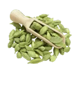 American Green Cardamom #3 | American Green Cardamom #3