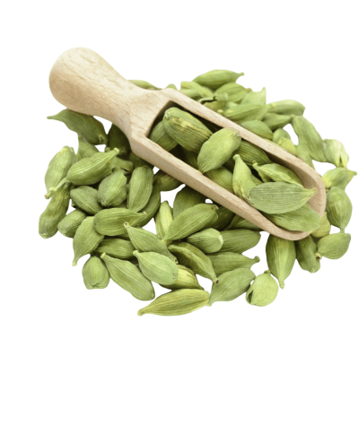 American Green Cardamom #3 | American Green Cardamom #3