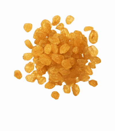 زبيب اصفر زبيب اصفر زبيب اصفر