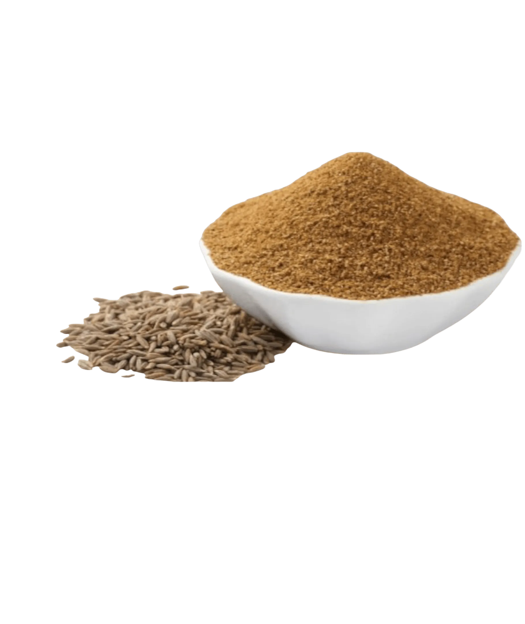 seasoning-1174451258_9decfc87-315a-4241-b37e-dbe3026e2c01 Ground cumin seasoning - ground cumin spices