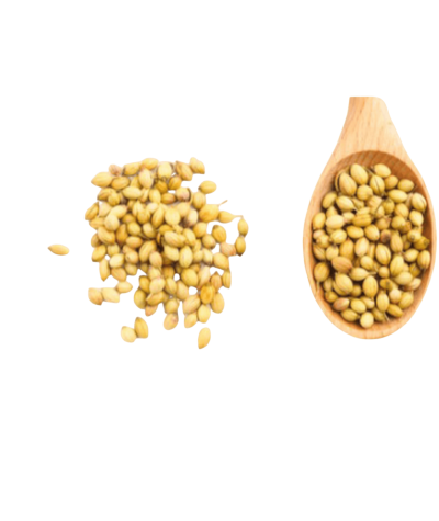 Coriander seeds seasoning - coriander seeds spices