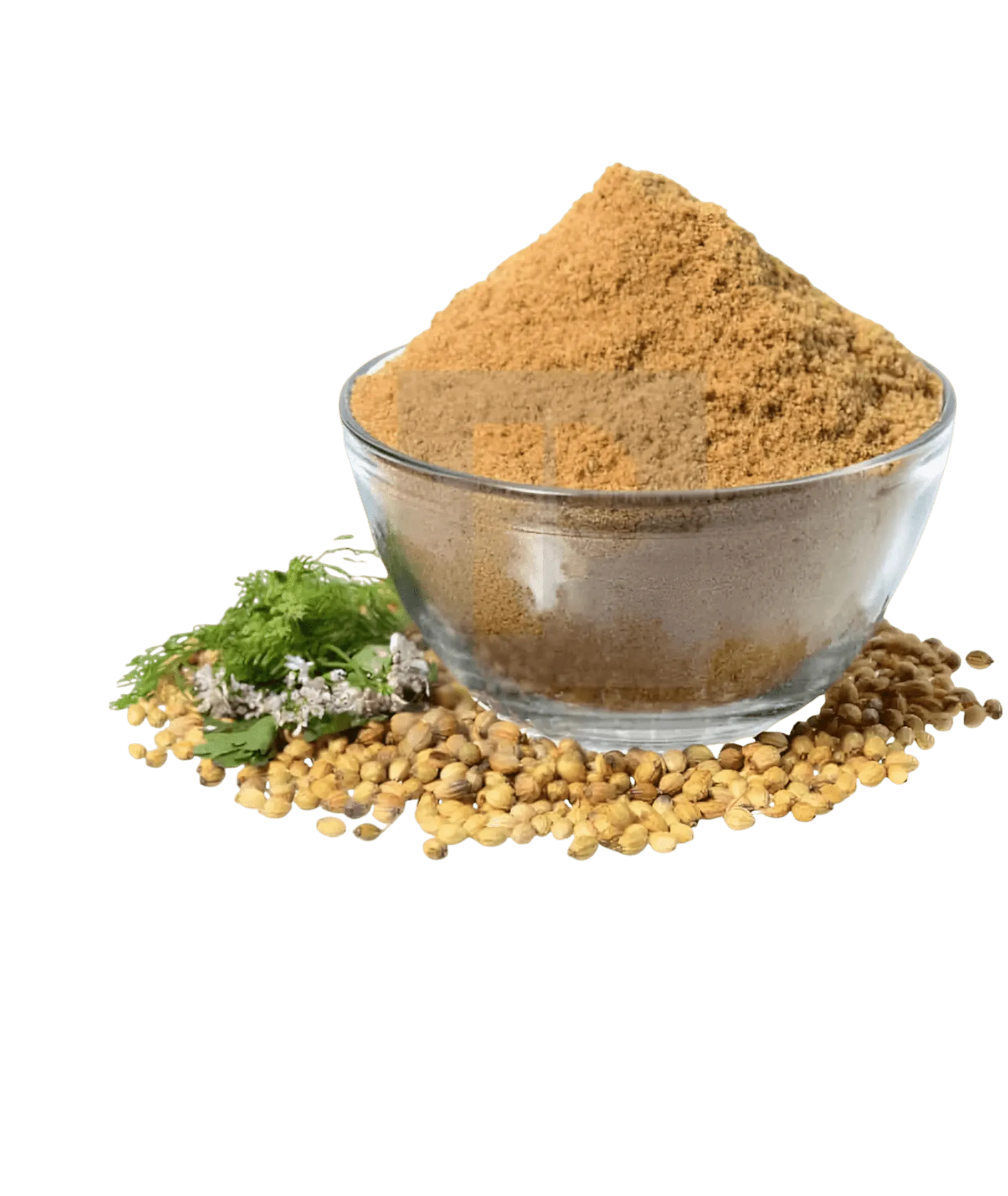 seasoning-1174451263_46cd7e36-610b-4daf-9acc-b4ed4c330d77 Ground coriander seasoning - ground coriander spices