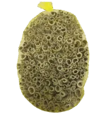 Unground cinnamon sticks - seasoning - cinnamon stick spices - Indonesian cinnamon sticks, unground