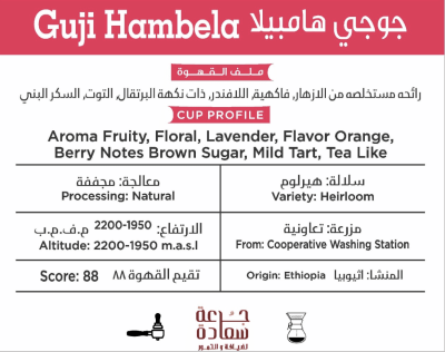 Specialty coffee from Ethiopia, Goji Hambela