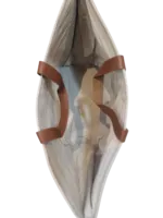 شنطة يدوية تراثية قماشية جلد – تصميم مطرز أنيق - Image 2